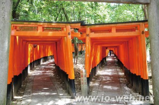 tabi_201107_01 もうひとつの旅―伏見稲荷大社