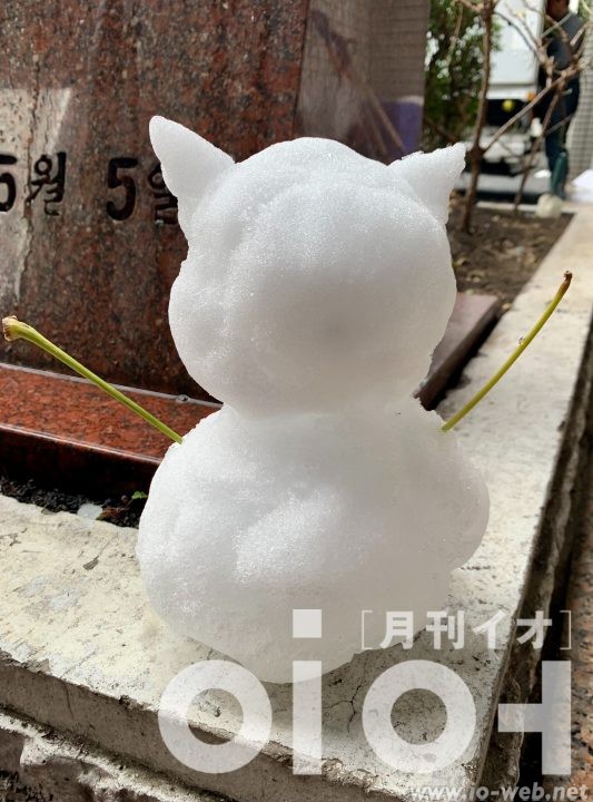 朝鮮新報編集局の後輩と作った雪だるま。ネコ耳つきだ。